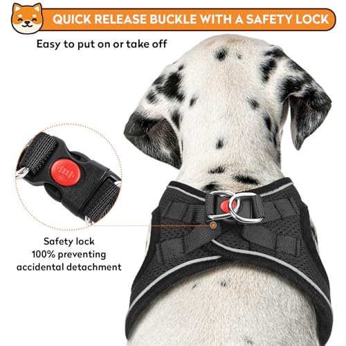 Dog Harness with Leash Set, No-Pull Step-in Reflective Pet Harness with 1 Leash Clips, Adjustable Soft Padded Easy Walk Dog Vest for Small Medium Large Dogs, Cats(Carbon Black, XXSmall) - color: Black, size: XXS(Chest:11.5"-13"*Fit Cat)