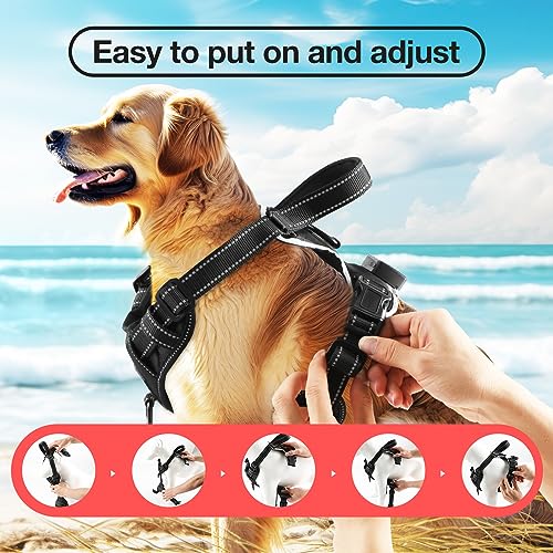 Light Up Dog Harness - No Pull Led Dog Harness Rechargeable Glow Vest for Night Walking Adjustable Sizes - color: Black-Red, size: L