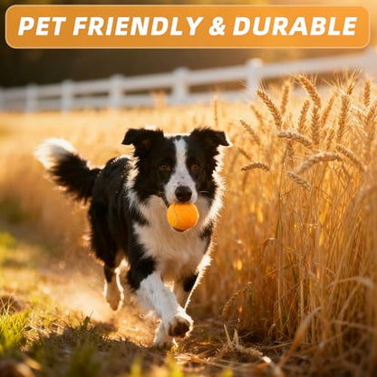 PoyPet 16-Pack Tennis Balls Bulk for Practice,Training and Beginners | Ideal for Dog Fetch,Chew and Play - color: Light Orange