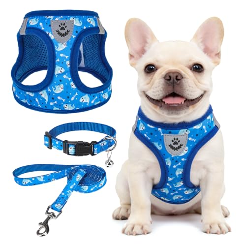 SCENEREAL Small Dog Harness and Leash Collar Set, Step in Soft Light Puppy Vest, Breathable Pet Harness for Small Sized Dogs, No Chock Reflective for Safe Outdoor Walking, Blue Shark S - color: Blue Shark, size: S: Chest Girth: 14.5"-16"