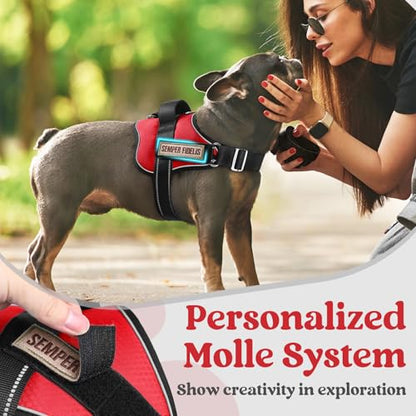 rabbitgoo Dog Harness Medium Sized, Easy On Pet Vest with One Buckle, No Pull Adjustable Service Harness with D-Ring & Handle, Reflective for Safety Walking, Training, Red, M - color: Red, size: Medium
