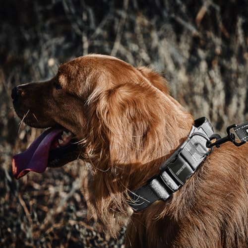 OneTigris Tough Dog Collars, Tactical Dog Collar with Handle, Milltary Adjustable Dog Collar with Heavy Duty Metal Buckle for Training (Medium,Gray) - color: Gray, size: Medium