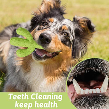 MewaJump Dog Chew Toys, Durable Rubber Dog Toys for Aggressive Chewers, Cactus Tough Toys for Training and Cleaning Teeth, Interactive Dog Toys for Medium/Large Dog - color: Green Cactus