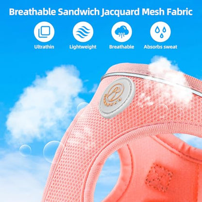 Soft Mesh Dog Harness and Leash Set, No Pull Puppy Harness and Leash Set, Reflective Step in Harness for Small Medium Dogs, Easy Walk Escape Proof Vest Harnesses (Pink, S) - color: Pink, size: S