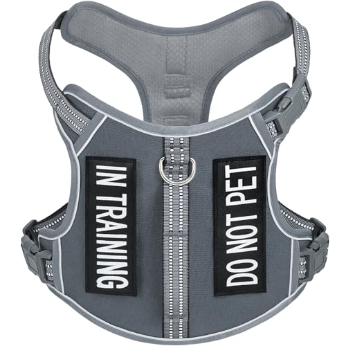 Light Dog Harness for Small Sized Dog Breeds, No-Pull Pet Harness with 2 Leash Clips, Adjustable Soft Padded Dog Vest, Reflective Pet Oxford Vest, Puggle, Terriers, Beagle, Gray, Small - color: Gray, size: Small