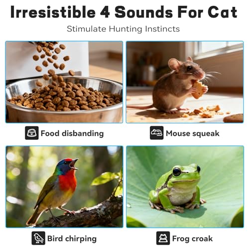 Interactive Cat Toy with Motion Activated Ball & 7 Holes Maze Mat, Hide and Seek Exercise Game for Indoor Cats, Automatic Moving Cat Ball Toy in Pouch, Rechargeable Kitten Toys, Mouse Catching Game - color: No Cat No Life