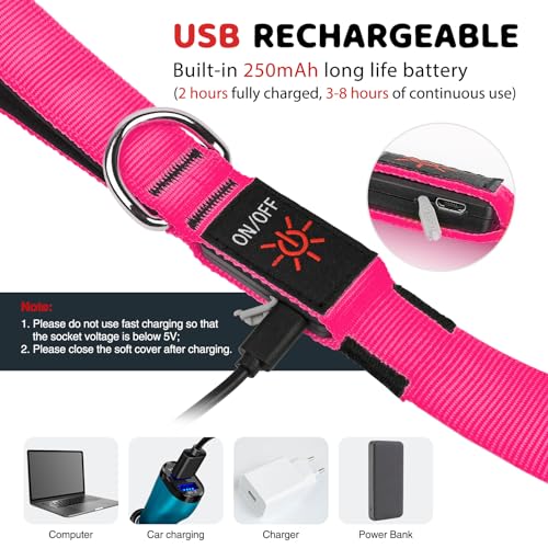 LED Dog Leash Light Up 6 Feet Micro USB Rechargeable Nylon Webbing Glow Safety Standard for Dogs by Bpawser (Pink) - color: Pink, size: 6 Feet