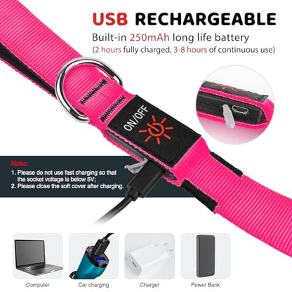 LED Dog Leash Light Up 6 Feet Micro USB Rechargeable Nylon Webbing Glow Safety Standard for Dogs by Bpawser (Pink) - color: Pink, size: 6 Feet