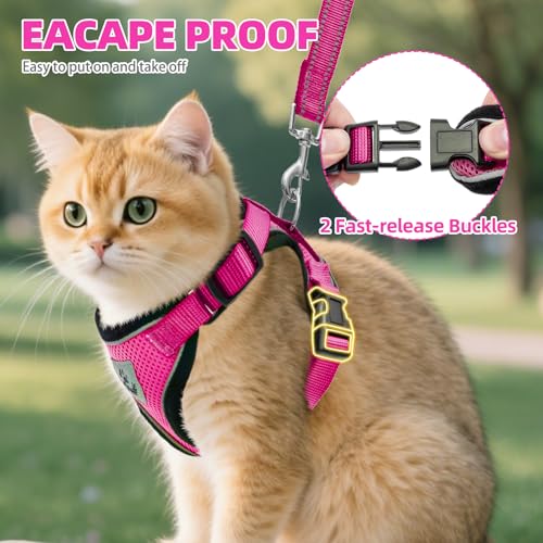 PUPTECK Cat Harness and Leash Set Escape Proof Reflective Cat Walking Harness Adjustable Soft Breathable Mesh Vest for Small Pets, Deep Pink, S - color: Deep Pink, size: S (NECK 9.5"-11", CHEST 13"-16")