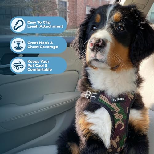Best Pet Supplies Voyager Adjustable Step-in Flex Breathable Mesh Dog Harness for Small Medium Large Dogs (Army/Black Trim), XL - color: Harness (Army/Black Trim), size: XL