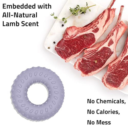 Playology Dog Toys | Dual Layer Ring Durable Dog Toy for Tough Chewers | Lamb Scented Jumbo Chew Toy for Large Dogs - size: Jumbo, style: Lamb