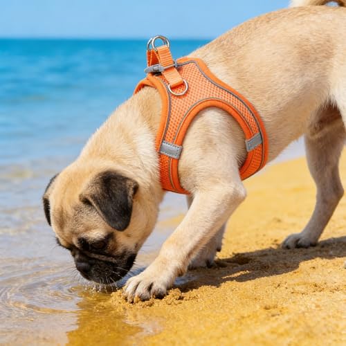 Dog Harness for Small Medium Dogs, Soft Breathable Mesh Adjustable Dog Vest Harness, Easy-On Comfortable Pet Harness(Orange S) - color: orange
