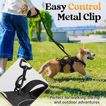 rabbitgoo Escape Proof Dog Harness, Soft Padded Full Body Pet Harness, Reflective Adjustable No Pull Vest with Lift Handle and Leash Clip for Large Dogs Walking Hiking Training, S, Black - color: Black, size: Small (Pack of 1)