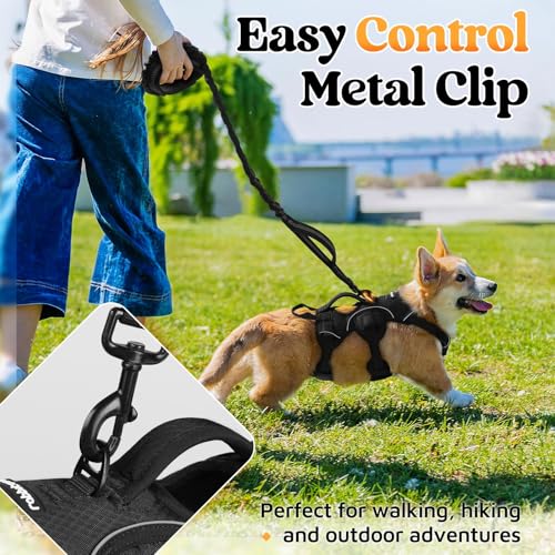rabbitgoo Escape Proof Dog Harness, Soft Padded Full Body Pet Harness, Reflective Adjustable No Pull Vest with Lift Handle and Leash Clip for Large Dogs Walking Hiking Training, S, Black - color: Black, size: Small (Pack of 1)