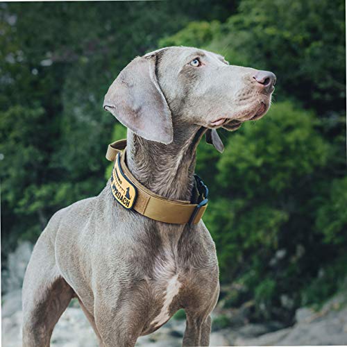 OneTigris Tough Dog Collars, Tactical Dog Collar with Handle, Milltary Adjustable Dog Collar with Heavy Duty Metal Buckle for Training (Medium (Pack of 1), Brown) - color: Brown, size: Medium