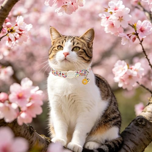 Unique style paws 2 Pack Valentine Kitten Collar Breakaway with Bell&Pendant, Adjustable Safety Spring Summer Colorful Flower Cotton Collar for Girl Boy Cat and Small Pet - color: colorful flower