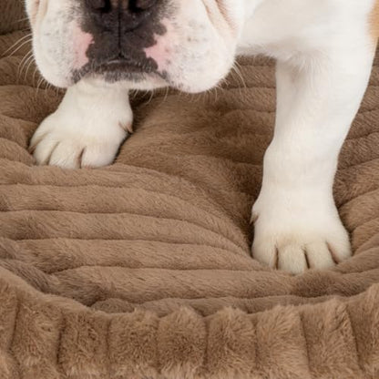 Cute Washable Dog Bed for Small Dogs -Soft Plush Calming Puppy & Cat Bed with Anti-Slip Bottom, Rectangle Anti-Anxiety Puppy Kennel Bed with Handle, 25" x 21" x 4", Brown - color: Brown, size: 25"L x 21"W x 4"Th