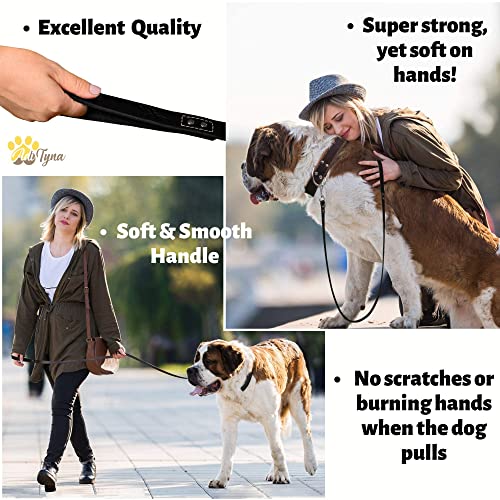 ADITYNA Heavy Duty Leather Dog Leash 6 ft x 1" - Strong, Soft Training Lead for Large & Extra Large Breeds (XL - 6 ft x 1 inch, Black) - color: Black, size: XL - 6 ft x 1 inch