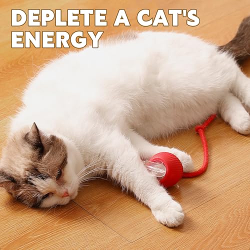 Chewie Viral Rolling Pet Ball, Interactive Cat & Dog Toy, 360 Smart Automatic Rolling Ball (Grey) - color: grey
