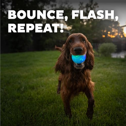 Outward Hound by Planet Dog Strobe Light Up LED Ball Dog Toy, Blue - color: Blue Strobe Toy