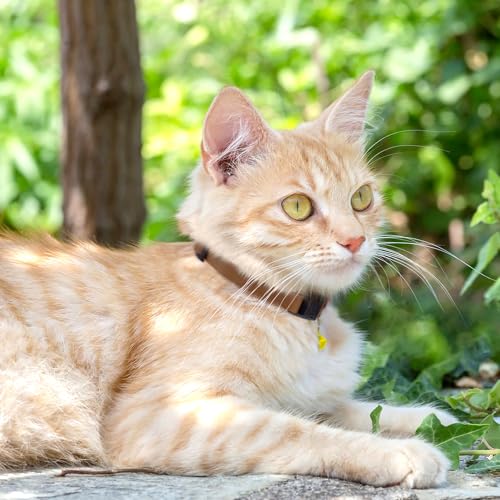 Breakaway Cat Collar with Bell - Leather Adjustable Kitten Collars with Safety Quick Release Buckle - Soft Small Pet Collars for Girl & Boy Cats (Brown) - color: Brown