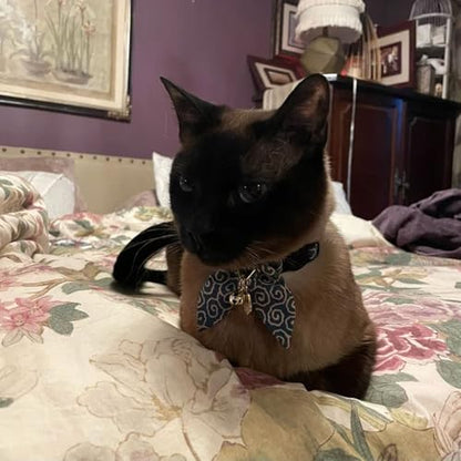 Bunny Ears Cat Collar, Japan Lucky ‘開三運’ Charm. Safety Breakaway Bowtie Kitten Collar with Bell, Light Blue - color: Dark Cyan