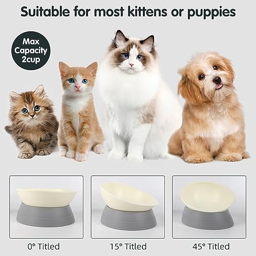 Bulldog Bowl Anti-Slip Dog Cat Dish Detachable Rubber Dog Bowl Pet Sterile Tilted Pet Feeder Slope Base (Grey-2 Cup) - color: Grey, size: 2 Cup ( Small/Medium Dog )