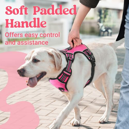 rabbitgoo Dog Harness Small Sized Dog, No Pull Pet Harness with Soft Padded Handle, Adjustable Reflective Vest with 3 Buckles, Easy Walking Harness with 2 Leash Clips, Pink, S - color: Pink, size: Small