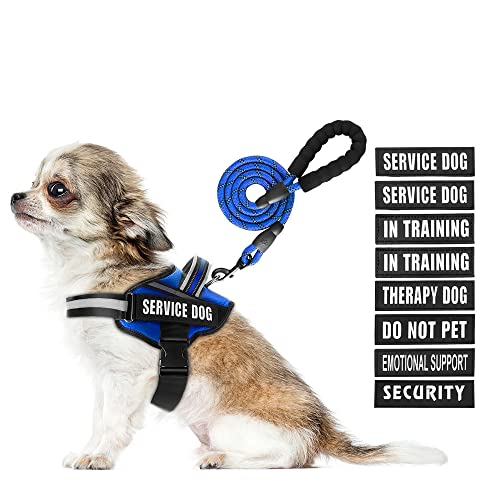 Service Dog Vest Harness and Leash Set, Animire in Training Dog Harness with 10 Dog Patches, Reflective Dog Leash with Soft Padded Handle for Small, Medium, Large, and Extra-Large Dogs (Blue, XS) - color: Blue, size: XS