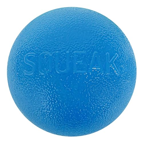Outward Hound by Planet Dog Squeak Ball Bouncy Fetch Dog Toy, Blue - color: Blue Squeak Toy