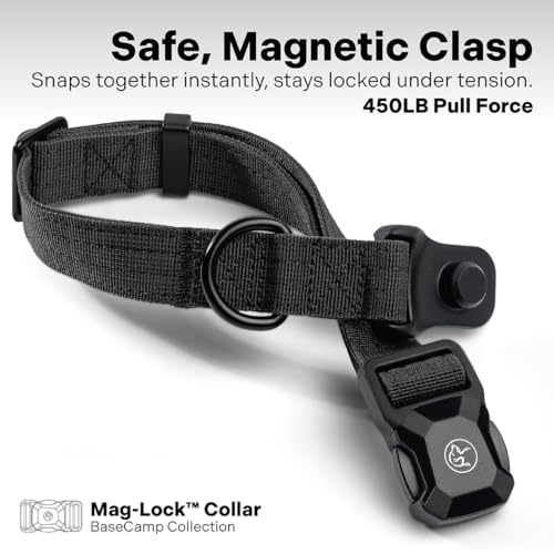Heavy Duty Dog Collar with Quick-Release Magnetic Buckle, Adjustable Double Layer Nylon Dog Collar for Medium Dogs, (Black, M: 14" to 18") - color: Black, size: M: 14" to 18"