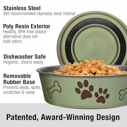 Loving Pets Bella Dog Bowls- Stainless Steel Dog & Cat Bowls - Spill Proof Dog Food Bowl, Cat Bowl, Puppy Essentials & Pet Supplies Great for Home & Travel (Small 10-20 lbs, Artichoke) - color: Artichoke, size: Small (10-20lbs)