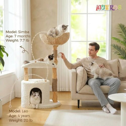 MUTTROS Modern Cat Tree Tower for Large Cats, Wood Cat Tower with Natural Scratching Post, Solid Wood Condo, Real Branch Luxury Cat Furniture with Curved Bed, Top Basket, White - color: Cloud White, size: 38" Solid Wood Cat Tree