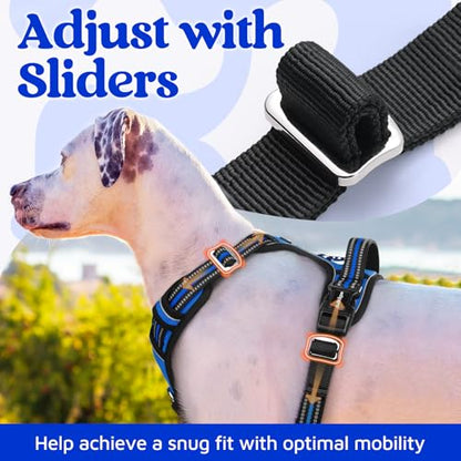 rabbitgoo Dog Harness Small Sized, No Pull Dog Vest with 3 Buckles, Adjustable Soft Padded Pet Harness with Easy Control Handle and Reflective Strips, Royal Blue, S - color: Royal Blue, size: Small