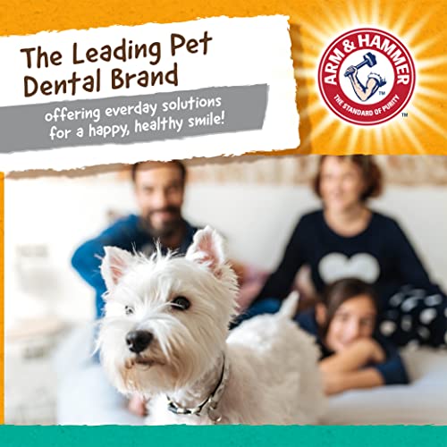 Arm & Hammer for Pets Super Treadz Gorilla Dental Chew Toy for Dogs - Dog Dental Toys Reduce Plaque & Tartar Buildup Without Brushing - Safe for Dogs up to 35 Lbs - size: Large (Pack of 1), style: Gorilla