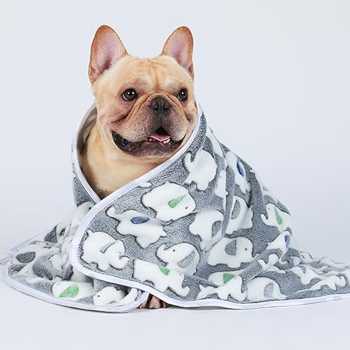 1 Pack 3 Blankets Super Soft Fluffy Premium Cute Elephant Pattern Pet Blanket Flannel Throw for Dog Puppy Cat Dark Grey Medium(30x20 inch) - color: Dark Grey, size: 30x20 inch (Pack of 3)