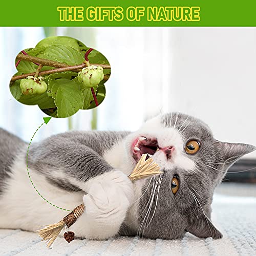GBSYU 5 Pack Silvervine Cat Toy, Silvervines Sticks Cat Toys for Indoor Cats, Cat & Kitten Chew Toys for Aggressive Chewers, Cat Dental Toy for Kitten Teeth Cleaning, Matatabi Silvervine for Cats - size: 5PCS