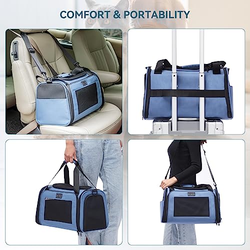 PETSFIT Pet Carrier, Dog Carrier Airline Approved, Collapsible Soft Sided TSA Approved Pet Carrier for Small and Medium Cats, Puppies Up to 12 Lbs, Cat Travel Carrier, Blue - color: Blue, size: Medium