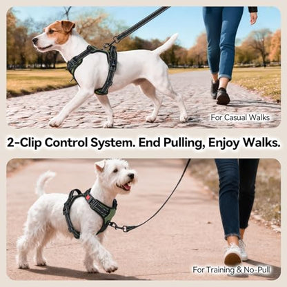 PHOEPET No Pull Dog Harness with Handle Front & Back Clip, Easy on Lockable Snap Buckle at Neck, Adjustable Reflective Vest with Handle for Small Medium Large Dogs (L, Misty Green) - color: Misty Green, size: Large
