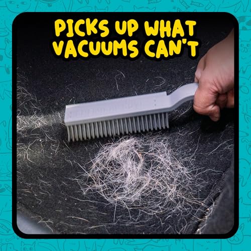 Chemical Guys Professional Rubber Pet Hair Removal Brush – Multi Surface Detailing & Pet Hair Removal Tool for Cars, Trucks, SUVs, RVs & Home – Removes Lint and Debris from Upholstery and Carpet - size: (Pack of 1)