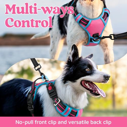 rabbitgoo Dog Harness Small Sized, No Pull Dog Vest with 3 Buckles, Adjustable Soft Padded Pet Harness with Easy Control Handle and Reflective Strips, Rose Pink & Blue, S - color: Rose Pink & Blue, size: Small