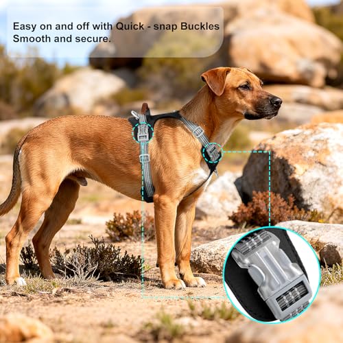 No Pull Dog Harness – Adjustable Reflective Nylon Vest for Small Medium Large Dogs, Escape Proof Training Harness with Leather Control Handle, Lightweight Aluminum Hardware (Black, L) - color: Black, size: L