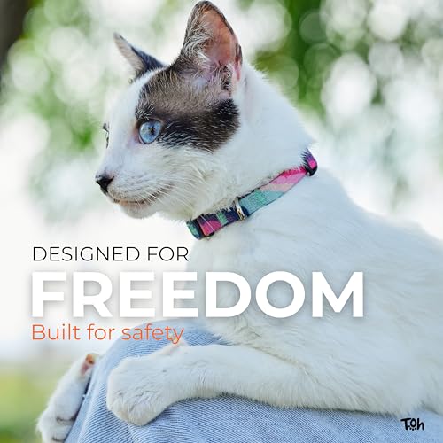 Breakaway Cat Collar – Stylish & Safe Adjustable Kitten Collar Breakaway – Cute Collar for Kittens & Cats – Soft Pet Collar for Girls & Boys – Cat Accessories, Blue - color: Blue
