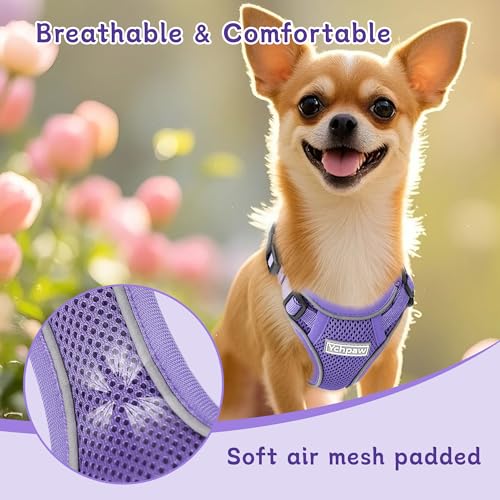 Small Dog Harness and Leash Set, Reflective Soft Breathable Mesh Vest, 3 Buckles, Adjustable Neck and Chest,Step in Dog Harness for Walking, Running, Training, Purple, XS - color: Purple, size: X-Small