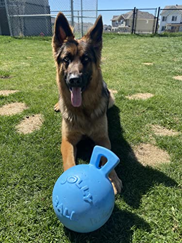 Jolly Pets Tug-n-Toss Heavy Duty Dog Toy Ball with Handle, 8 Inches/Large, Blueberry - color: Blueberry, size: Large (8 in)