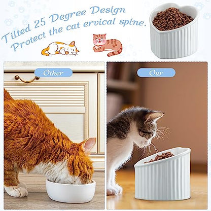 Mumufy 2 Pcs Ceramic Elevated Cat Bowls Tilted Elevated Raised Pet Bowls Anti Vomit Cat Dish for Indoor Stress Free Water Dish Feeder for Puppies, Heart Shaped(Pearly White) - color: Pearly White