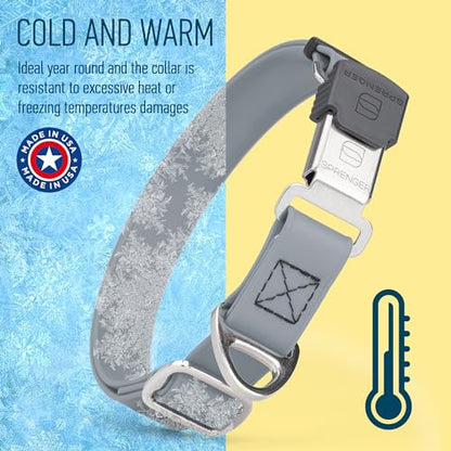 Biothane Waterproof Durable Dog Collar with Herm Sprenger - Quick Release ClicLock Buckle - Fits Medium and Large Dogs - Made in USA (Battleship Gray, W 1" x L 15"-25") - color: Battleship Gray, size: W 1" x L 15"-25"