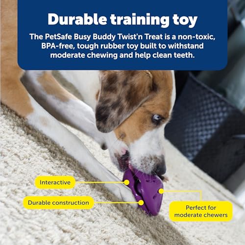 PetSafe Busy Buddy Twist 'n Treat Dispensing Dog Toy - Medium - size: Medium (Pack of 1)