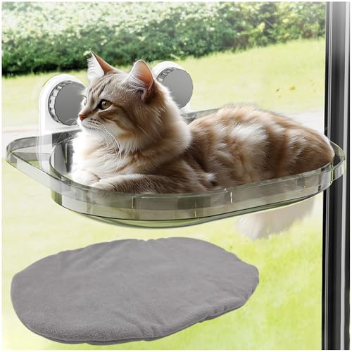 La La Pet Suction Cup Cat Bed with Mat Transparent All Season Window Perch for Indoor Pets Sunbathing Hammock Nest