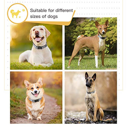 HEELE Dog Collar, Reflective Dog Collar, Soft Neoprene Padded Breathable Nylon Pet Collar Adjustable for Small Dogs, Gray, S(10.23-14.96") - color: Gray, size: Small (10.23-14.96")